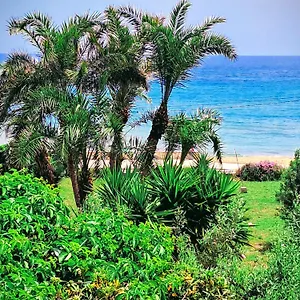 https://la-casetta-del-borgo-marinaro.sicilyhotelsitaly.net